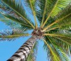 Study finds Eco-Friendly Hotels in Spain to be More Profitable Than Regular Hotels