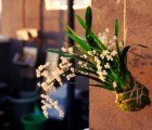 DIY: How To Make a Hanging Bonsai String Garden