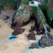 Andres Amador, Sand Painting, Sand Drawing, Sustainable Art, Eco Art, Ocean Inspired Art, San Francisco
