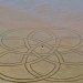 Andres Amador, Sand Painting, Sand Drawing, Sustainable Art, Eco Art, Ocean Inspired Art, San Francisco