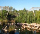 Buenos Aires’ Bioparque Temaikén Boasts the Largest Aviary in South America