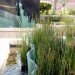 San Francisco, Privately Owned Public Spaces, POPOS, 100 First Street, Park, Urban Garden, Public Art