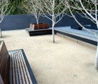A Look Into San Francisco’s Downtown Secret Gardens