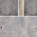 Dom Arquitectura, urban design, art, sparrows, Barcelona, spain, green design, sustainable design, eco-design, Barrio de Garcia, birds nests, urban nests, Spain
