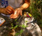 HOW TO: Go Geocaching with Your Kids