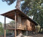 Golany Architects Turns a Shipping Container Into a Two-Tree House
