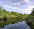 Google Launches Incredible ‘Street View’ Map of the Amazon