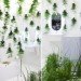 green design, sustainable design, eco-design, Green Waters, Patrick Nadeau, bathroom, LG Hauys, France, Paris, Compost toilet, wetland plants, recycling water, water conservation, grey water, wastewater treatment, the bathroom of the future