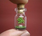 Artist Izumi Akinobu Captures Miniature Worlds in Tiny Glass Bottles