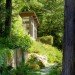 Mill Valley Cabins, Feldman Architecture, green roof, living roof, yoga studio, art studio, accessory dwelling unit