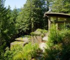 Mill Valley Cabins Are Green-Roofed, Low-Impact Studios That Disappear Into the Forest