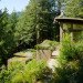 Mill Valley Cabins, Feldman Architecture, green roof, living roof, yoga studio, art studio, accessory dwelling unit