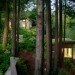 Mill Valley Cabins, Feldman Architecture, green roof, living roof, yoga studio, art studio, accessory dwelling unit
