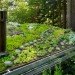 Mill Valley Cabins, Feldman Architecture, green roof, living roof, yoga studio, art studio, accessory dwelling unit