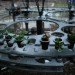 organograph, public art, san jose, Bill Washabaugh, Chico MacMurtie, Geo Homey, climate model