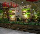 Shipping Pallet Garden Wows Visitors at the Canada Blooms Garden Festival