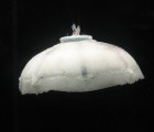 Virginia Tech Team Creates a Self-Charging Robo-Jellyfish