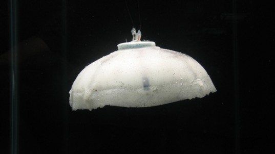 virginia tech robo jellyfish, biometric robo jellyfish, self powered robo jellyfish, hydrogen robo jellyfish, robo jellyfish, robo jellyfish self charging, robo jellyfish military, robo jellyfish virginia tech