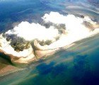 BP Oil Spill Responsible for Coral Damage in Gulf of Mexico