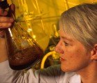 “Brown Liqour” Could Replace Rare Metals in Batteries