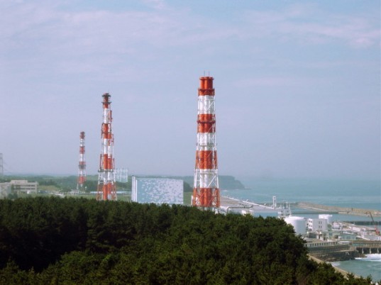 fukushima, nuclear power, Japan, Shunichi Yamashita, Fukushima Daiichi, nuclear