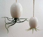 Create a Beautiful Hanging Garden With MudPuppy’s Ceramic Planter Pods