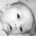Newborn Baby, DNA, genetic engineering, geoengineering, bioengineering, science, Kyoto Protocol, climate change, carbon footprint, global warming, technology, CO2, meat, livestock, vegetarianism, vegetarian, vegan, S. Matthew Liao,