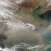 dust storms, desert trees, desert drought, mongolian drought, korea dust storm, seoul dust storm, asian climate, dust storm, desert plant