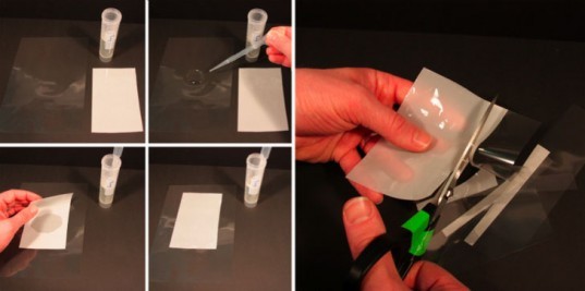 Self-cleaning plastic, bleu cheese, blue cheese, science, technology, fungus, bacteria, plastic, Switzerland,