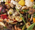 New Data Suggests 30-50% of the World’s Food Goes Uneaten