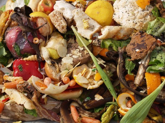 food wastage, food waste, food shortage, oversized portions, dumpster diving,