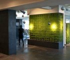 TSEH Architects Transform a Dull Office into a Glorious Green Haven Filled With Plants