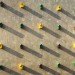 Dom Arquitectura, urban design, art, sparrows, Barcelona, spain, green design, sustainable design, eco-design, Barrio de Garcia, birds nests, urban nests, Spain