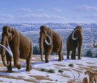 South Korean Scientists Announce Plan To Clone a Woolly Mammoth