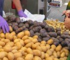 Greece ‘Potato Movement’ Directly Connects Farmers & Consumers During the Debt Crisis