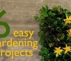 6 Super Easy Gardening Projects To Do This Weekend