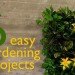 Easy Gardening Projects, Fire Escape Garden, indoor gardens, easy gardens, garden projects, easy gardening projects, woolly pocket, wally