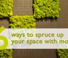 6 Fuzzy Ways to Spruce up Your Space Using Moss!