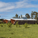 Moreava Cabins, AATA Arquitectos Asociados, Easter Island, cross-ventilation, solar panels, solar collectors, timber, sustainable accomodation, Prefab Housing, Eco Tourism, energy efficiency