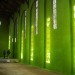 Dilston Grove, south east london, grass interiors, Ackroyd & Harvey, art, sustainable materials, botanical