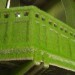 Dilston Grove, south east london, grass interiors, Ackroyd & Harvey, art, sustainable materials, botanical