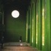 Dilston Grove, south east london, grass interiors, Ackroyd & Harvey, art, sustainable materials, botanical