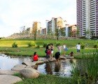Bishan Park: Singapore Transforms a Concrete Channel Into a Vibrant Riverside Park