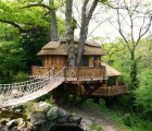 Blue Forest’s Thatched Cliffside Lodge Wraps Itself Around a Tree