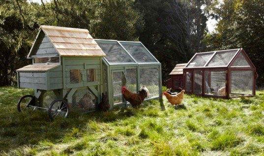 Williams-Sonoma, chicken coop, mobile chicken house, agrarian designs, sustainable design, garden eco design, green design