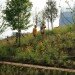 Cumberland Park, Hargreaves Associates, nashville, landscape architecture, urban park, kids park, green space, sustainable redevelopment