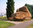 Cute Gigantic Muskrat Sculpture Pops Up in the Dutch Countryside!