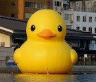Gigantic Rubber Duckie Floats Down the Loire River in France!