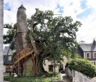 France’s Oldest Tree Sprouts Treehouse Chapels, Has Been Alive Since Louis IX