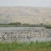 green design, eco design, sustainable design, Golany Architects, Hula Visitor Center, bird watching, Northern Israel, solar power, wooden louverl